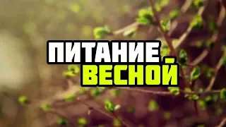 Тибетская медицина. Питание весной