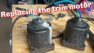 How to replace a trim motor in an outboard engine..