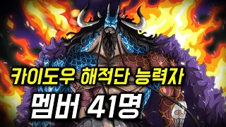 원피스 카이도우 해적단 악마의 열매 능력자 멤버 41명