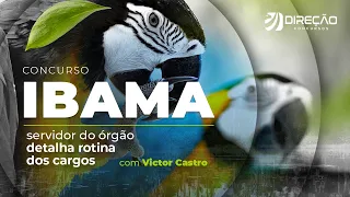 Concurso IBAMA: servidor do órgão detalha rotina dos cargos