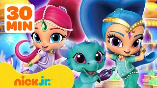 Shimmer and Shine Rescue Animals! w/ Leah & Zeta the Sorceress | 30 Minute Compilation | Nick Jr.