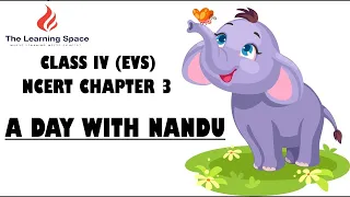 Class 4 NCERT EVS - Looking Around / Chapter 3 / A Day With Nandu - Diksha Video #cbse #daywithnandu