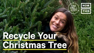 Why You Should Recycle Your Christmas Tree | One Small Step | NowThis