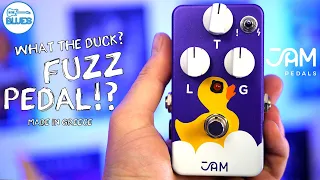 The Jam Pedals Eureka FUZZ Pedal 🐤  Don't Let the duck FOOL You!