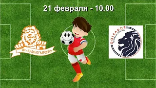 21 февраля  10 00  Красногвардеец   Голеадор  2009  2010 гр    Демо версия