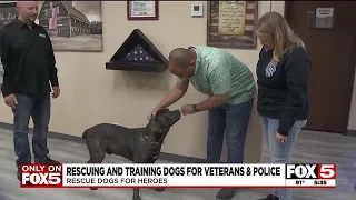 Las Vegas dog training facility rescues, matches dogs with veterans and first responders