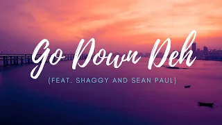 Spice, SEAN PAUL, Shaggy - Go Down Deh , NO LIE (ft. DUA Lipa) | Dance Monkey TONES and I(Lyrics)