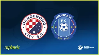 2024 NPLMVIC Round 14: Dandenong City SC v Avondale FC