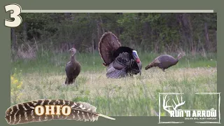 2023 Ohio Turkey Season Hunt: This Tom Was Worth the Wait