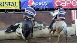 Valdebenito y Corvalán [Criadero Peleco] - 65° Campeonato Nacional de Rodeo Rancagua 2013