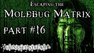 Grindset Stream Episode #16: Escaping the Moldbug Matrix Part 16