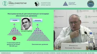 ВПЧ-молекулярные основы онкогенеза  (Имянитов Е.Н.)