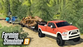 FS19- LOGGING ON "GRIZZLY MOUNTAIN" MAP! SEARCHING FOR THE BEST TIMBER | EP #1