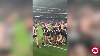 The best fan footage of Magpie's game-winning goal against Essendon