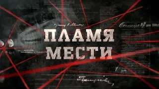 Пламя мести | Вещдок