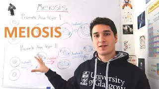 Meiosis. Expert level for beginners. IN 8 MINUTES // Genetic diseases