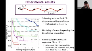 Coarse-grained models for schooling swimmers