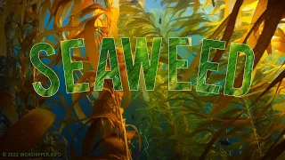 SEAWEED (A Rap Parody) | SEAWEED (W)RAP | © 2022 WORSHIPPER MEDIA | Subscribe, Like, Share & Comment