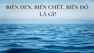 Biển đen, biển chết, biển đỏ là gì? Vì sao chúng có tên gọi như vậy?