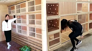 New Pigeon house design 🏠 Modern pigeon loft building ideas 🕊️ Simple pigeon loft design