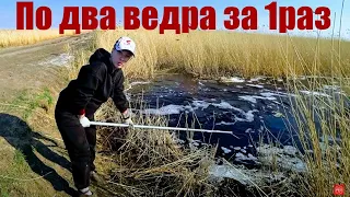 Рыбалка на паук 2021, по 50 карасей за 1 подъем ЁКЛМН. Рыбалка 2021. Рыбалка на карася