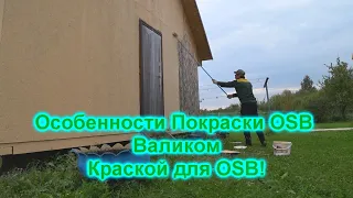 Что стало с не крашенным OSB (ОСП) за 2 года! Особенности покраски OSB Валиком краской для OSB!