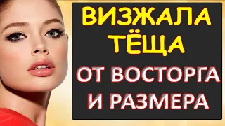 Визжала тёща от восторга...Интересные истории из жизни. Аудиорассказ