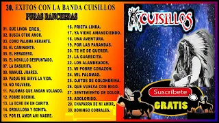 30.  EXITOS DE BANDA CUISILLOS.   P.URAS RANCHERAS.