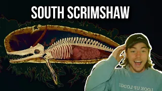 Fish Biologist Reacts to South Scrimshaw