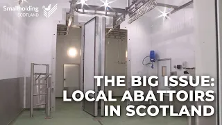 Local abattoirs in Scotland and sustainable local meat production