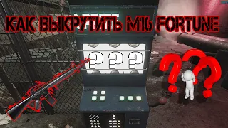 Will to live online, КАК Я ВЫКРУЧИВАЛ М16 ФОРТУНА