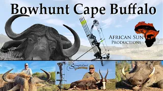 Buffalo Bow hunt in South Africa