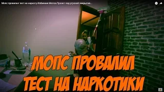 Мопс провалил тест на наркоту.Избиение Мопса.Проэкт под угрозой закрытия...