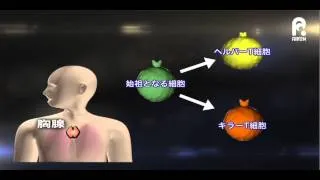 ヘルパーT細胞がキラー様T細胞へ変化