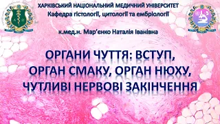 Органи чуття, частина 1. Вступ, орган смаку, орган нюху, чутливі нервові закінчення. Гістологія