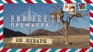 Рассказ Сергея Доли о себе и о путешествиях!/Премьера на РЕН ТВ/28 января!