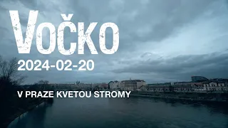 2024-02-20 Vočko