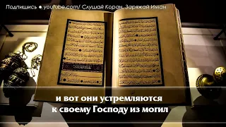 🎧 СЛУШАЙТЕ КОРАН   УБИРАЕТ ВЕСЬ НЕГАТИВ И СТРЕСС, УВЕЛИЧИВАЕТ ИМАН, СЧАСТЬЕ   Красивое чтение коран