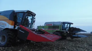 Kukurydza na ziarno z dwoma DZIKAMI!! [sampo rosenlew][class][valtra][john deere]