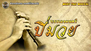 บรรเลงดนตรีปี่มวย Muay thai musical