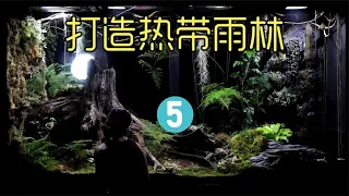 耗时120天，打造的超大热带雨林出了状况，该怎么办呢？