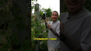 DIY Strawberry tower #shorts