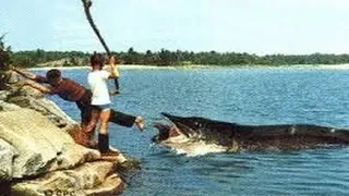 10 Shocking Fishing Moments Caught On Camera!