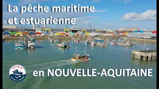 La Pêche maritime et estuarienne en Nouvelle Aquitaine