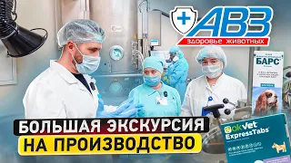 ЭКСКЛЮЗИВ! Производство АВЗ | Как делают ветеринарные препараты, капли от блох, таблетки от клещей