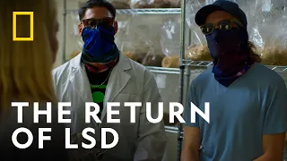 The Mind-Altering World Of Psychedelics | Trafficked With Mariana Van Zeller| National Geographic UK