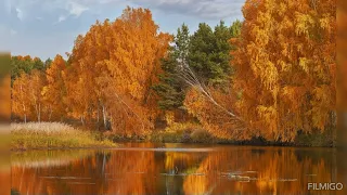 Золотая Осень 🍂 музыка 🎶 для романтиков