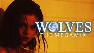 WOLVES - Selena Gomez, Justin Bieber, Alesso, P!nk & More (Megamix By Blanter Co)