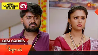 Ardhangi - Best Scenes | 13 April 2024 | Gemini TV