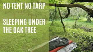 No tent no tarp, sleeping under the oak tree